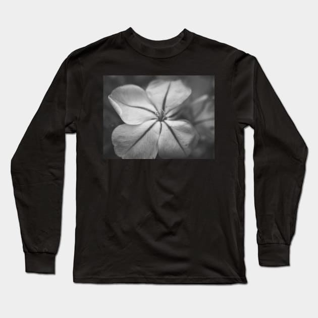 Delicate Bue Flower Photography V3 Long Sleeve T-Shirt by Family journey with God